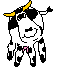 Cow smiles 2
