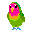 Small parrot 2