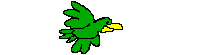 Green bird 2