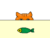 Fish on table