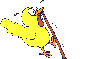 Chick gets worm