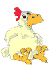Confused chicken