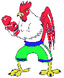 Rooster fighter