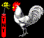 http://www.animationlibrary.com/Animation11/Animals/Chickens_and_Turkeys/chicken_blows_up.gif