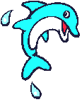 Dolphin flips