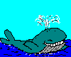 Happy whale