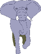 Elephant walks