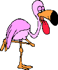 Tired flamingo