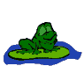 Frog on leaf