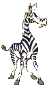 Zebra stands