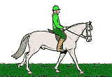 Green jockey