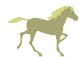 Grey horse 2