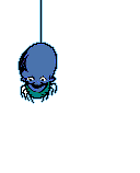 Blue spider skull