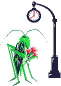 Grasshopper waits