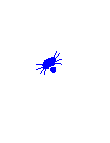 Spider web 4