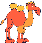 Camel 4
