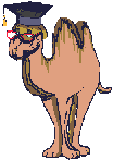 Camel professor