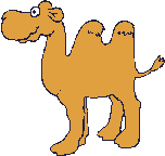 Camel wags