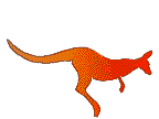 Orange kangaroo 2