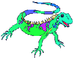 Chameleon 3