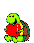 Love turtle