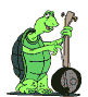 Musician turtle