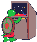 Turtle plays