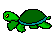 Turtle runs