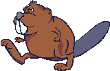 Beaver - Click image to download.