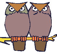 Two owls sit