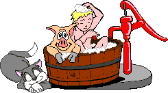 Pig bathes