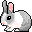 Little rabbit 2