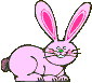 Pink bunny 2