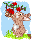 Rabbit eats berries