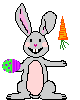Rabbit eats carrot