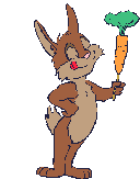 Rabbit with carrot 2