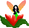 Flower fairy 2