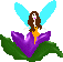 Flower fairy 3