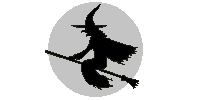 Witch flies
