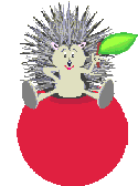 Hedgehog apple