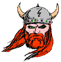 Viking face