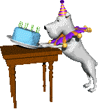 Dog with cake