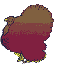 Plump turkey
