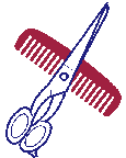 Comb and scissors