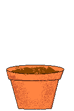 Flower in pot - Click image to download.