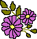 Purple daisy 2
