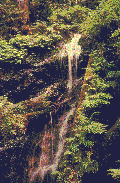 Waterfall 3 - Click image to download.