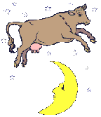 Cow over moon 2