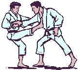 Karate match