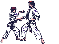 Karate match 2